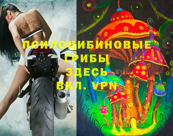 наркотики Белокуриха