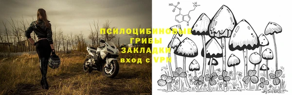 наркотики Белокуриха