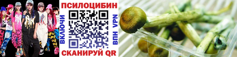 Псилоцибиновые грибы ЛСД Богородицк
