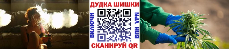 дарнет шоп  Богородицк  Бошки марихуана SATIVA & INDICA 